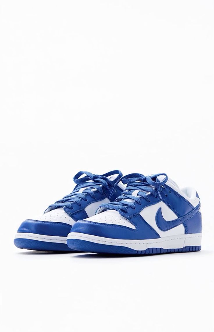 Nike SB Dunks Low